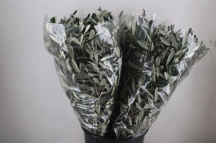 <h4>Olijf 200gr P Bunch</h4>