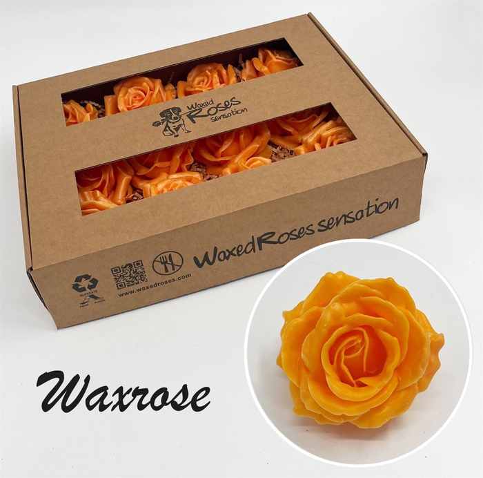 <h4>R Zijde Supreme Oker Geel Wx</h4>