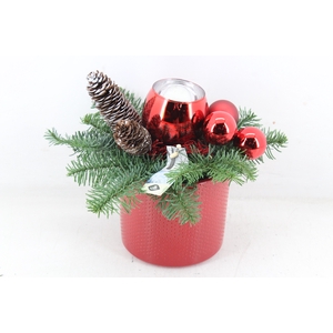 arr5 Kerst JS - Ker. pot dots red