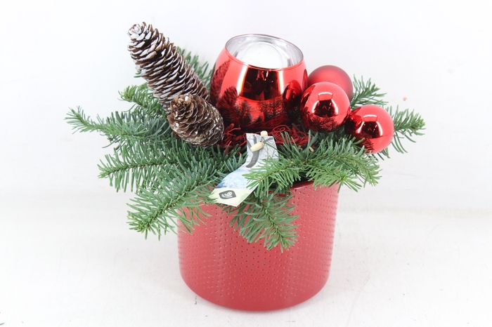 <h4>arr5 Kerst JS - Ker. pot dots red</h4>