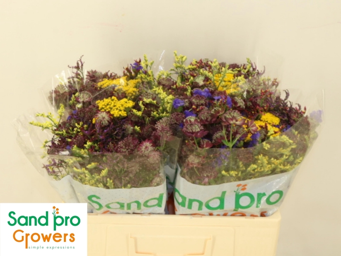 <h4>GEM ZOMERBOEKET</h4>