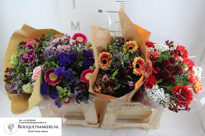 <h4>GEM BOEKET OV</h4>