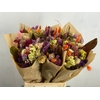 DF Bouquet 50cm Neon Mix