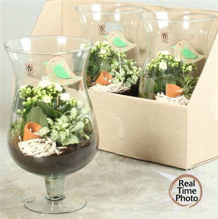 <h4>Arr Kamerpl</h4>