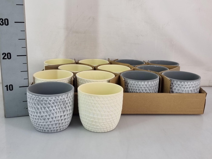 <h4>HUIS EN TUINDECO H%</h4>