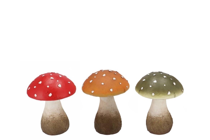 <h4>Wonderland Mushroom Scottisch Spice Amanita Ass 13x13x17cm</h4>