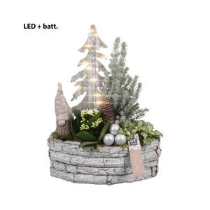 BMCE3201 Arrangement By Marleen Christmas Exclusives in houten boot