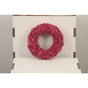 Wreath Gomphrena Pink 15cm