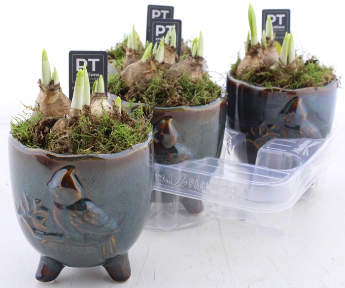 <h4>ARR N TETE A TETE</h4>