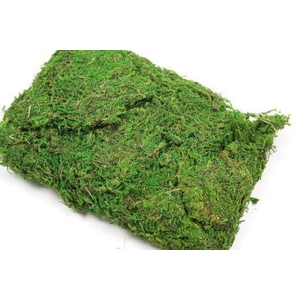 Moss Asia 250g