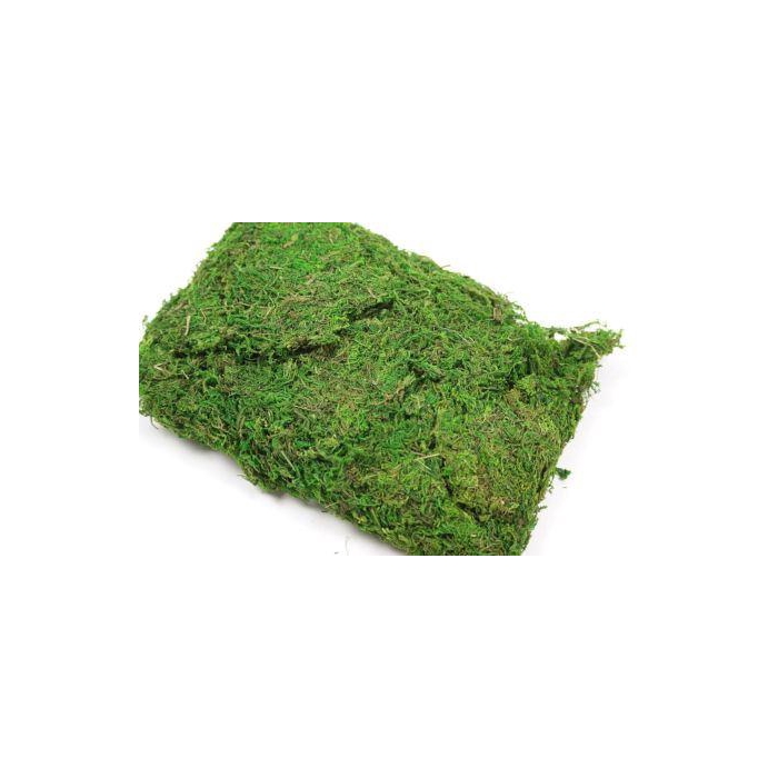 <h4>Moss Asia 250g</h4>