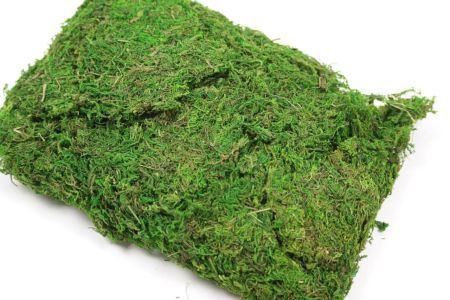 Moss Asia 250g