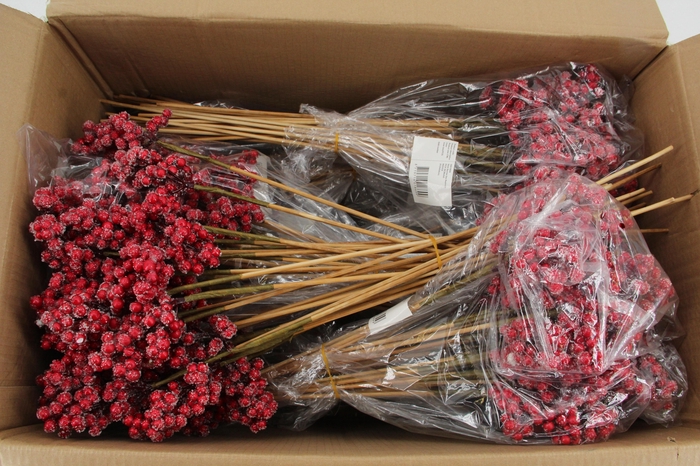 <h4>Stick Berries Ilex Red+Ice</h4>