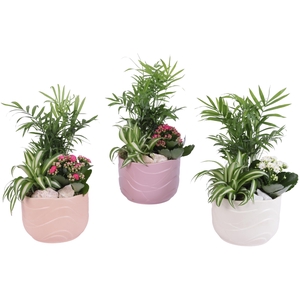 Yearround Arr. Indoor Ceramic Soft Elegance SE660 Ø17cm 3PP