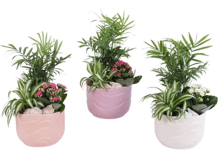 <h4>Yearround Arr. Indoor Ceramic Soft Elegance SE660 Ø17cm 3PP</h4>