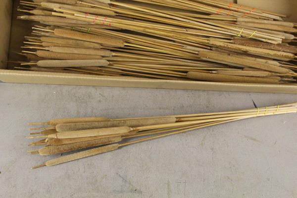 <h4>Df Typha Large Natural B/10</h4>