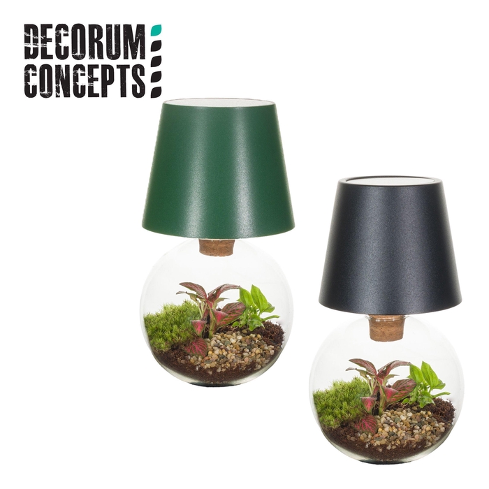 <h4>Terrarium Cosmolight (Decorum concepts)</h4>