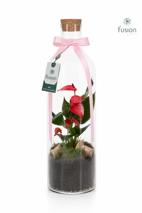 <h4>Green Bottle Fles Large met Anthurium</h4>