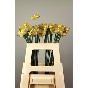 Stick Bee Wood Yellow 6cm