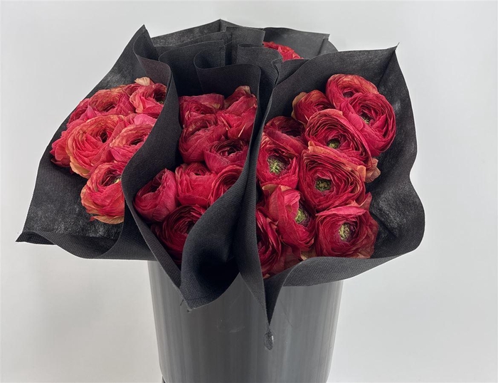 <h4>Ran Suc Vintage Sup</h4>