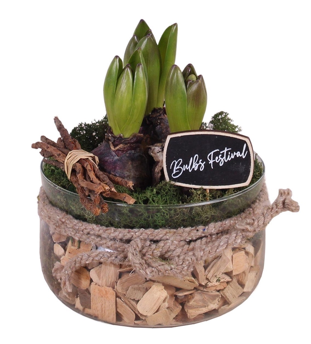<h4>Bulbs Arr. Hyacint Glass Bowl with Rope Ø16cm 3PP</h4>
