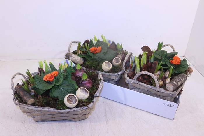 <h4>ARR TUINPLANTEN</h4>