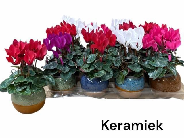 <h4>CYCL KL SUP MICRO</h4>