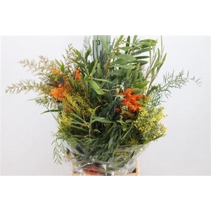 Acacia Mimosa Mix 200 Gram