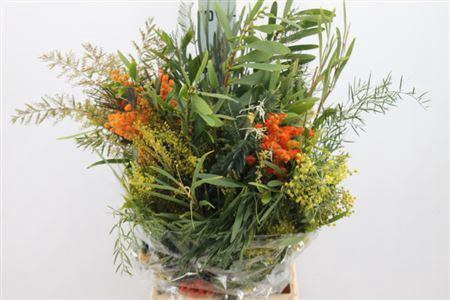 <h4>Acacia Mimosa Mix 200 Gram</h4>