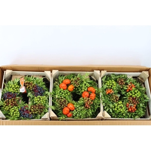 Wr Sierfruit 30cm (melli)