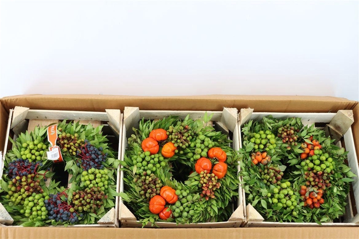 <h4>Wr Sierfruit 30cm (melli)</h4>
