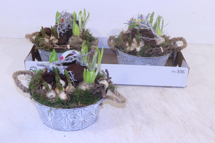 <h4>ARR BOL KNOLGEWAS</h4>