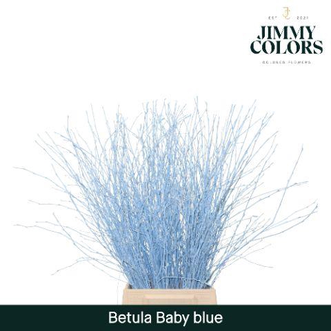 <h4>Betula L70 Light Blue</h4>