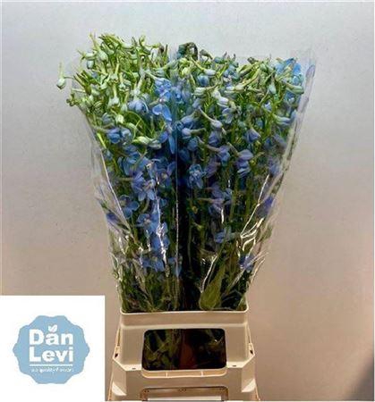 <h4>Delph En Ballkleid</h4>