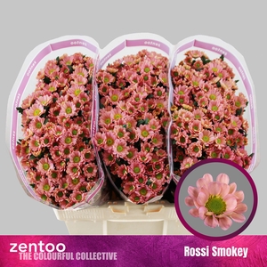 CHR S ROSSI SMOKEY