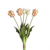 AF Tulip Parrot x5 L40cm Wh/Re