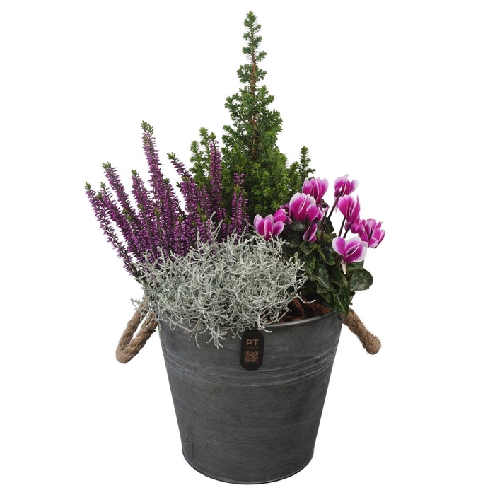 Arr.   Tuinplanten H%