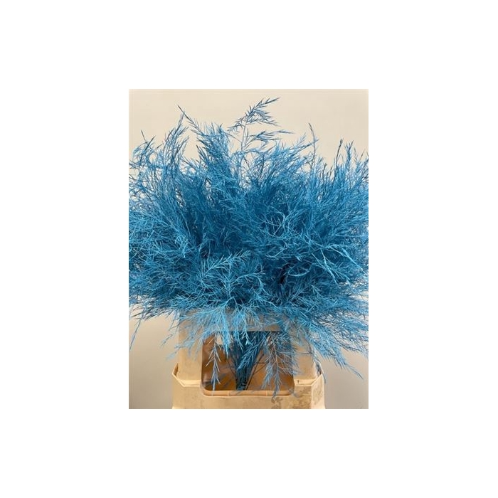 <h4>Treefern Light Blue</h4>