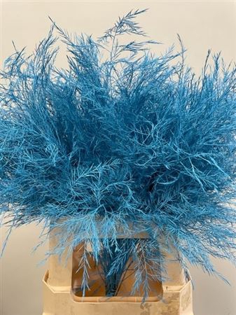 Treefern Light Blue