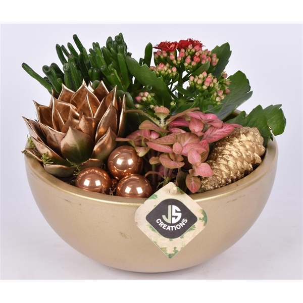 <h4>Arrangementen kamerplanten 6%</h4>