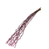 Dried flowers Willow catkins 70cm