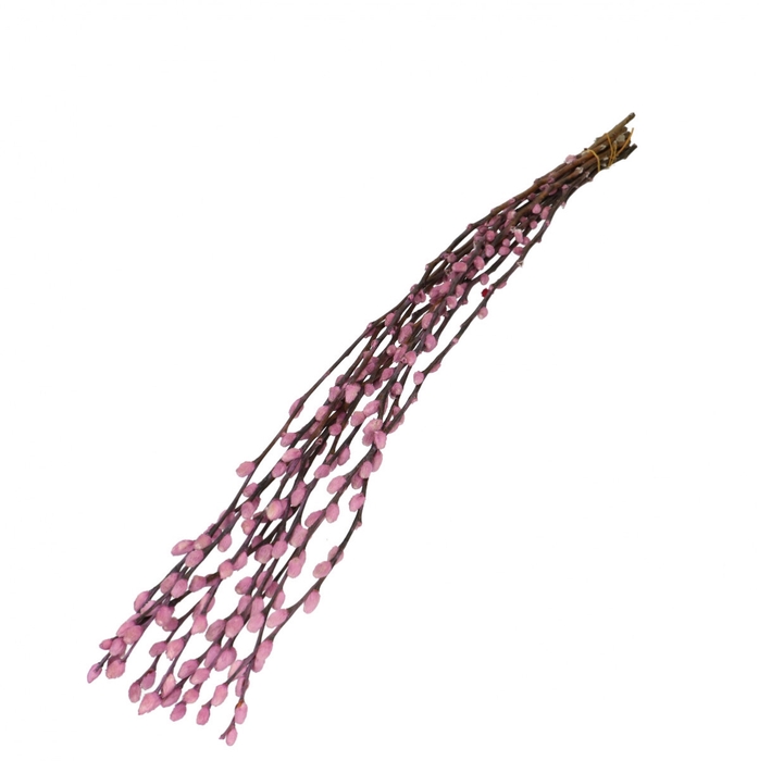 <h4>Dried flowers Willow catkins 70cm</h4>