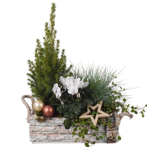 Arr.   Tuinplanten H%