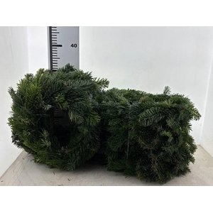 KRANS HALF GEBOND H%