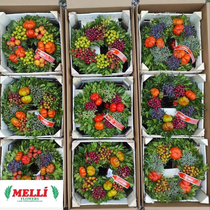 <h4>SIERFRUIT KRANS H%</h4>