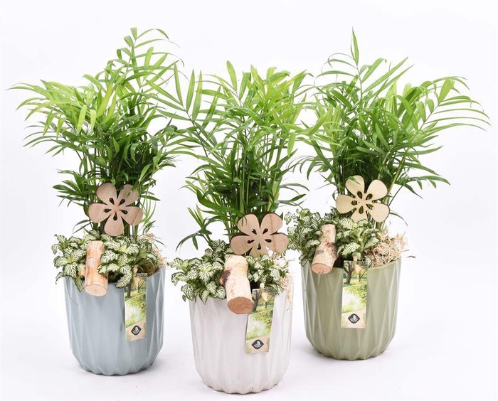 <h4>Keramiek sierpot klmix 13cm</h4>