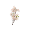 Cherry Blossom Spray Pink Light