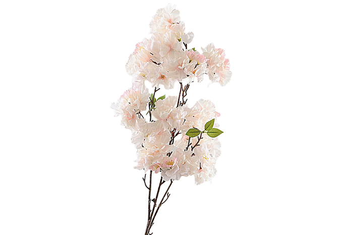 Cherry Blossom Spray Pink Light