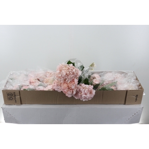 Hydr Blush Pink Select Box