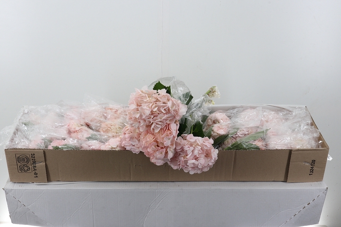 <h4>Hydr Blush Pink Select Box</h4>
